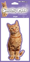 photo of Ginger Cat Air Freshener